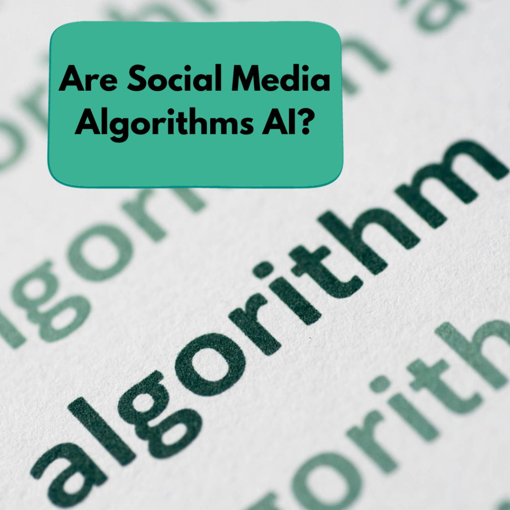 Are Social Media Algorithms AI